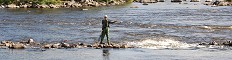 Miramichi River Accommodations